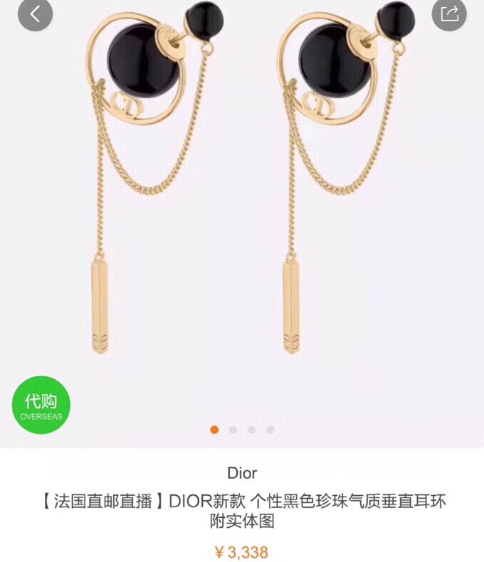 Christian Dior Earrings